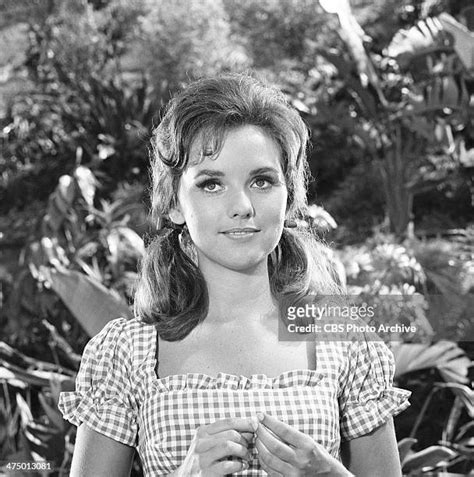 1,010 Dawn Wells Images Stock Photos & High